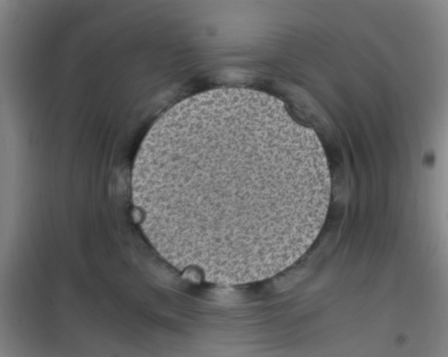 X0000100420425200807032106