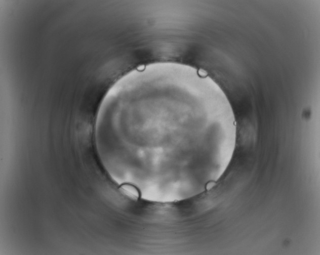 X0000100420427200807032106