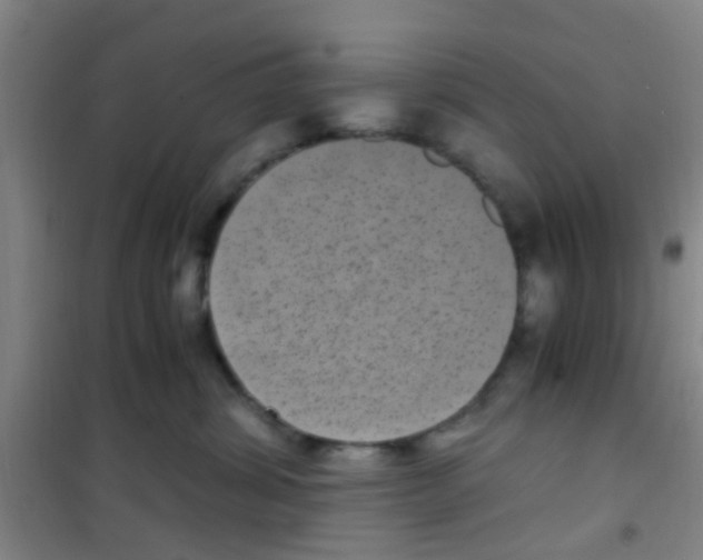 X0000100420428200807032106