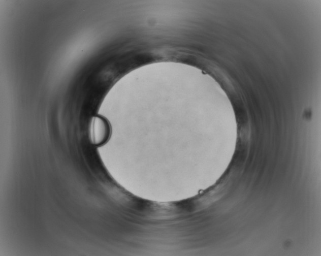 X0000100420429200807032106