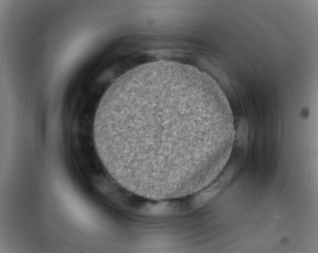 X0000100420430200807032106