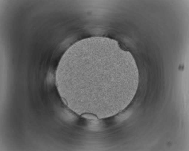 X0000100420432200807032106