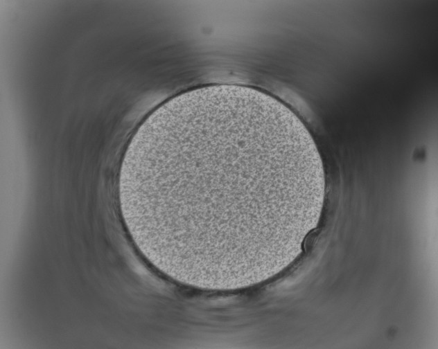 X0000100420433200807032105