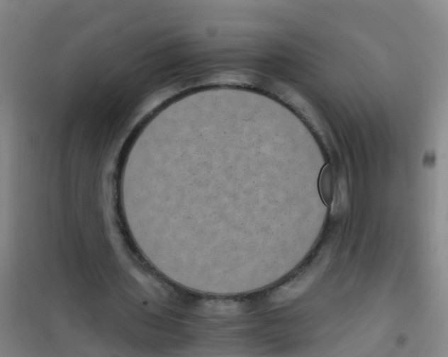 X0000100420435200807032105