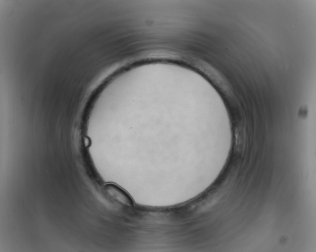 X0000100420436200807032105