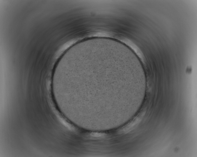 X0000100420437200807032105