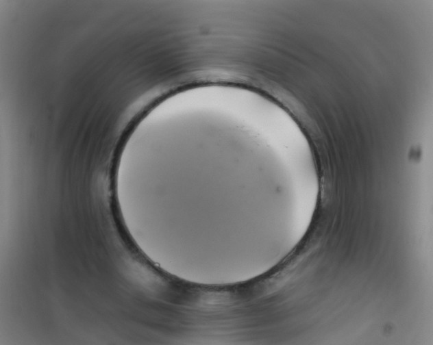 X0000100420438200807032105