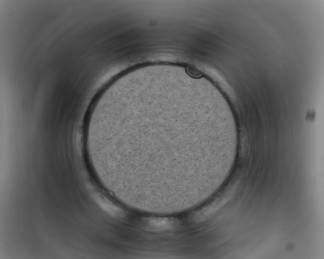 X0000100420439200807032105