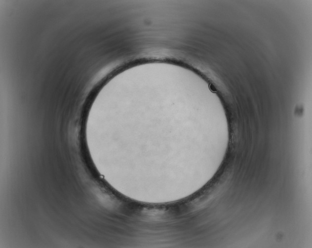 X0000100420440200807032105