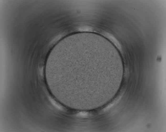 X0000100420441200807032105