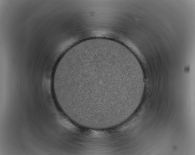 X0000100420442200807032105