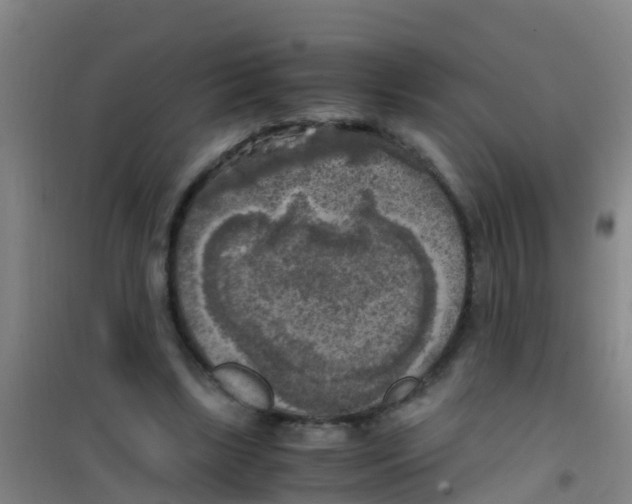 X0000100420443200807032105