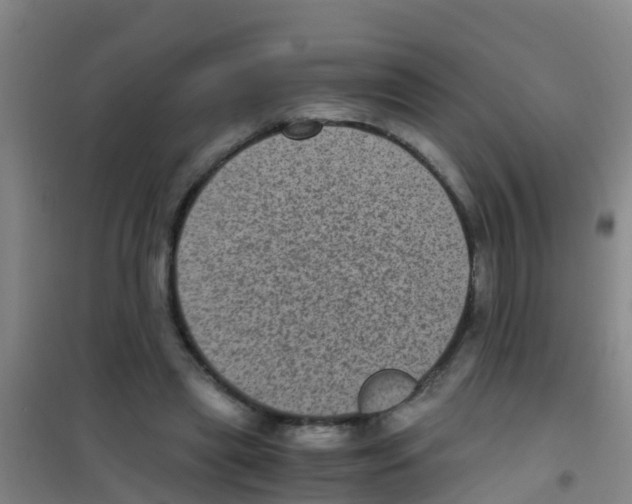 X0000100420445200807032105