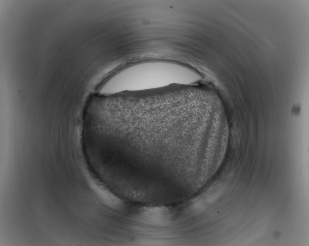 X0000100420446200807032105