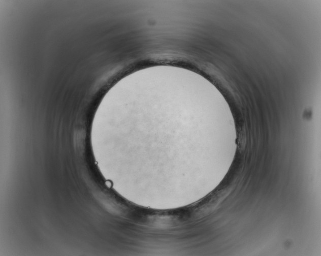 X0000100420448200807032105