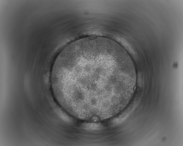 X0000100420449200807032105