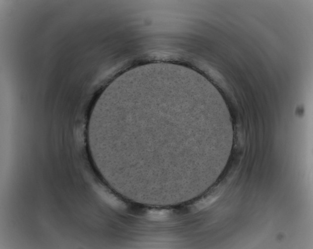 X0000100420450200807032105