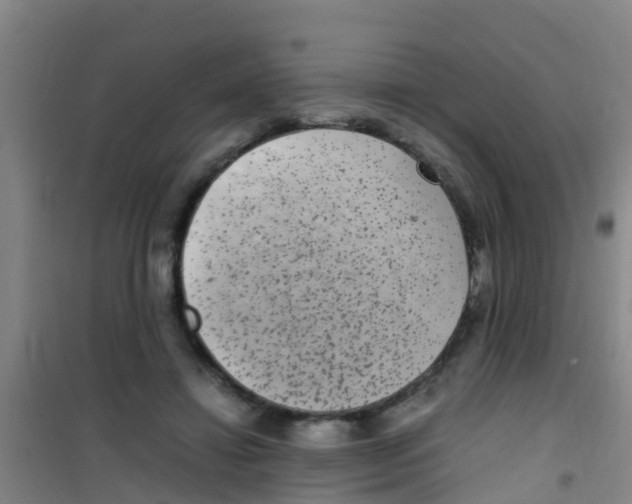 X0000100420452200807032105