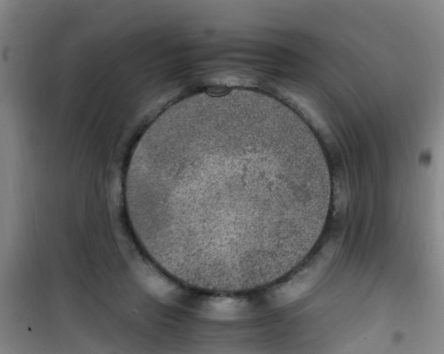 X0000100420453200807032105