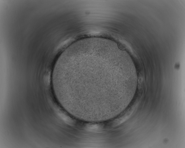 X0000100420454200807032105