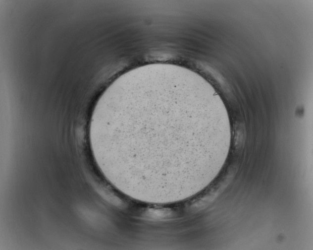 X0000100420455200807032105