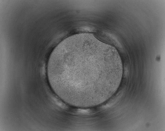 X0000100420457200807032105