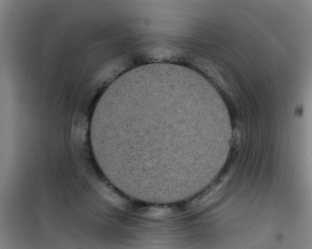 X0000100420458200807032105