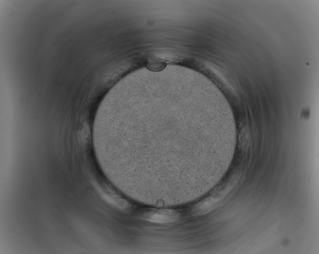 X0000100420459200807032105