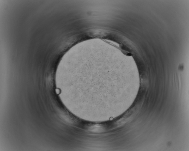 X0000100420460200807032105