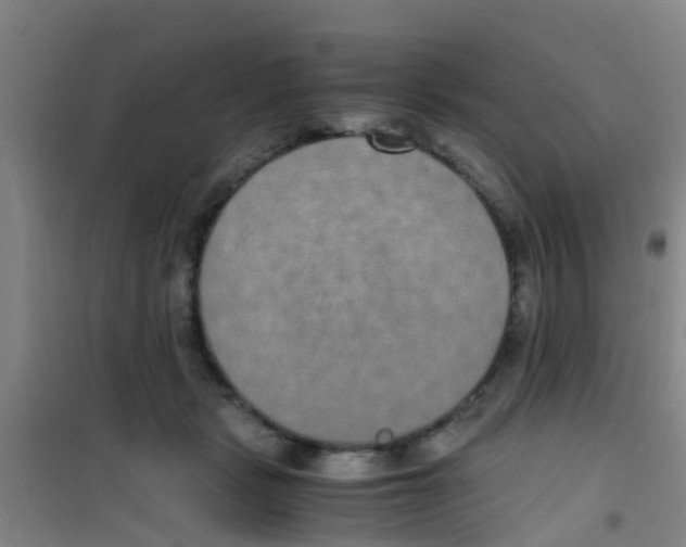 X0000100420461200807032105