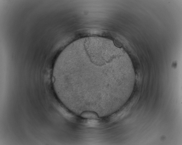 X0000100420462200807032105