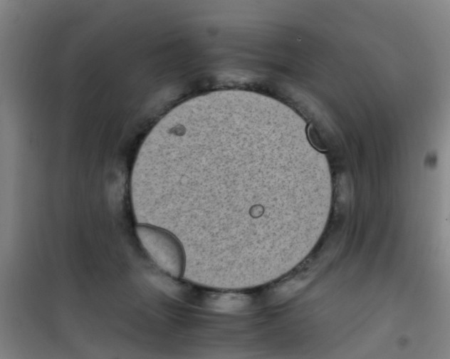 X0000100420463200807032105