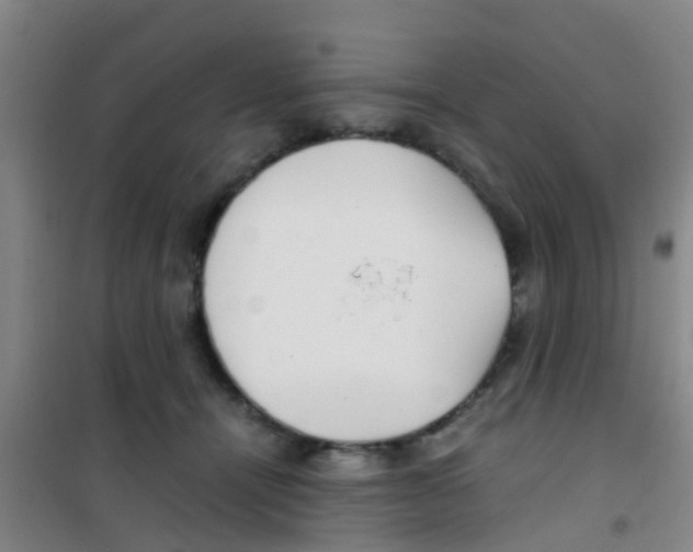 X0000100420464200807032105