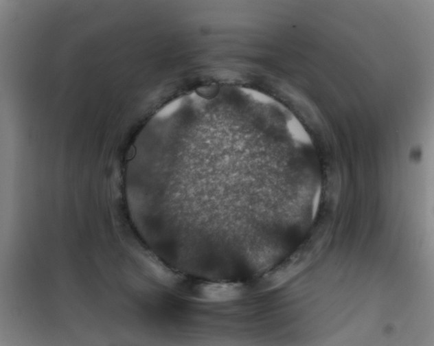 X0000100420465200807032105