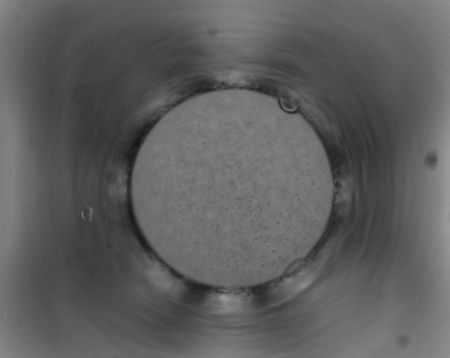 X0000100420466200807032105