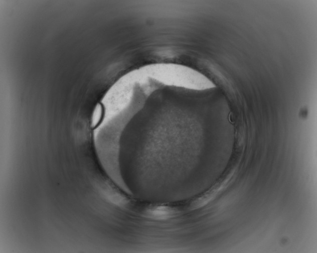 X0000100420467200807032106