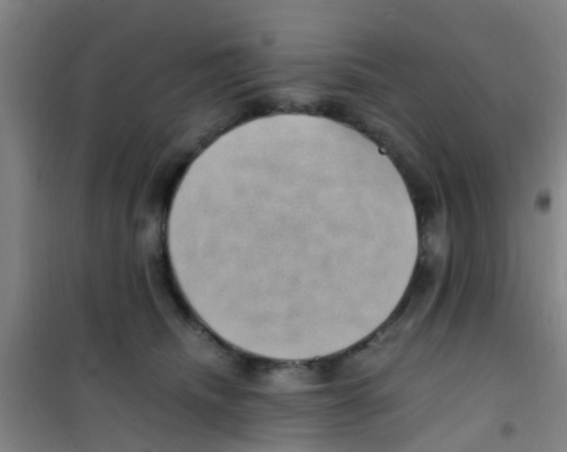 X0000100420468200807032106