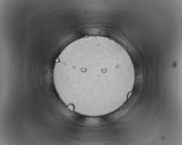 X0000100420469200807032106