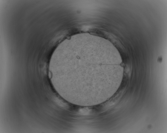 X0000100420470200807032106