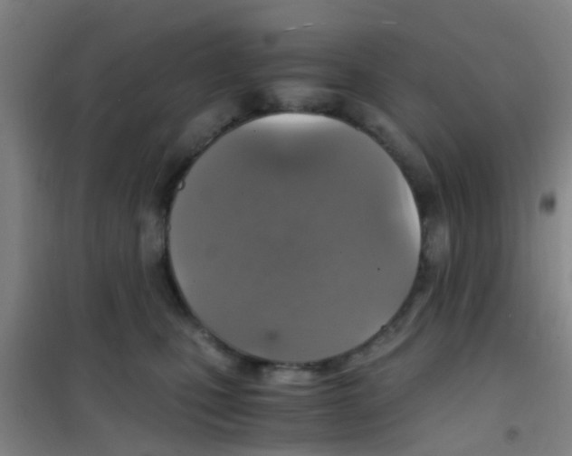 X0000100420471200807032106