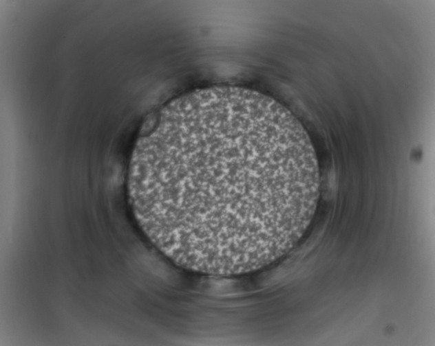 X0000100420472200807032106