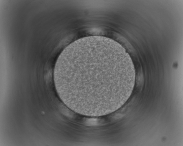 X0000100420473200807032106