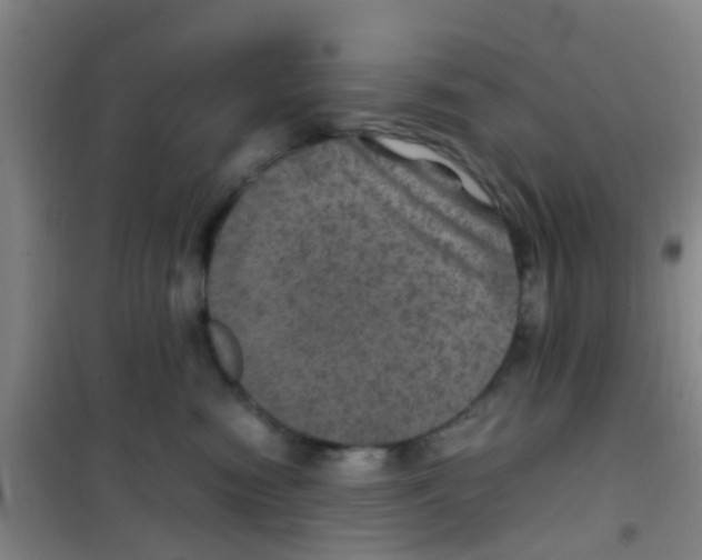 X0000100420474200807032106