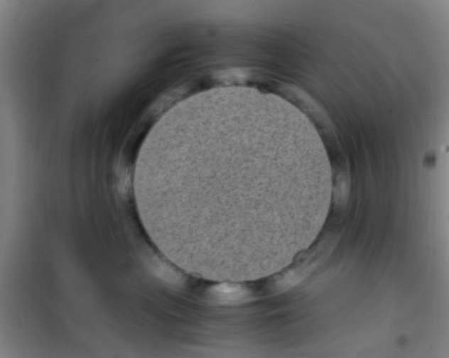 X0000100420477200807032106