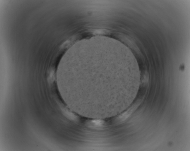 X0000100420478200807032106