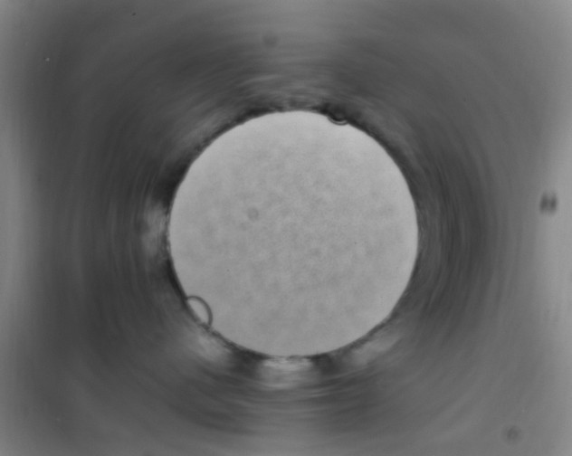 X0000100420480200807032106