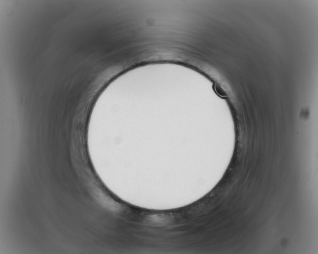 X0000100420481200807032105