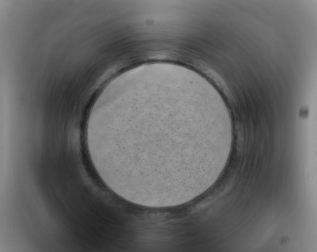 X0000100420482200807032105