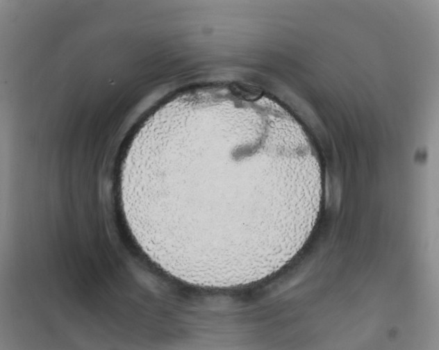 X0000100420483200807032105