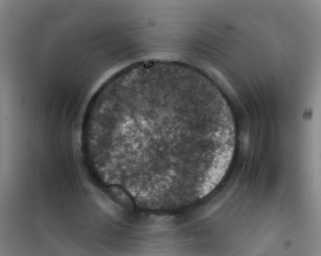 X0000100420484200807032105